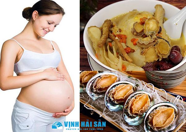 bào ngư tốt cho sức khỏe bà bầu