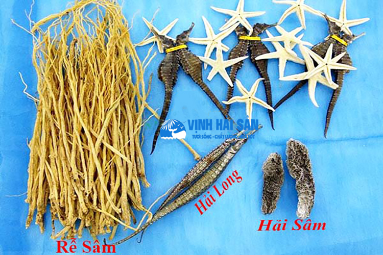 Nguyên liệu ngâm rượu cá ngựa